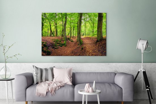 Tableau sur toile Vue de la zone boisée des Pays- Nederland - 120x80 cm - Décoration murale
