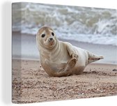 Canvas Schilderij Jonge zeehond op het strand - 80x60 cm - Wanddecoratie