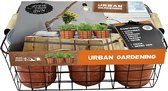 Plantenwinkel Baltus Urban Gardening Herbs zaden giftbox per 6 stuks