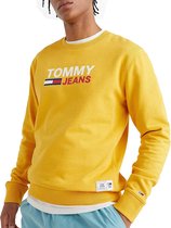 Tommy Hilfiger Trui Mannen - Maat XL