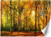 Trend24 - Behang - Herfstbos - Behangpapier - Fotobehang Natuur - Behang Woonkamer - 250x175 cm - Incl. behanglijm