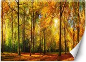 Trend24 - Behang - Herfstbos - Behangpapier - Fotobehang Natuur - Behang Woonkamer - 450x315 cm - Incl. behanglijm