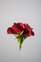 Kunstplant - Echeveria - topkwaliteit decoratie - 2 stuks - zijden tak - Rood - 20 cm hoog