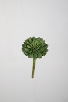 Kunstplant- Echeveria - vetplant - cactus - topkwaliteit decoratie - 2 stuks - zijden tak - Groen - 20 cm hoog