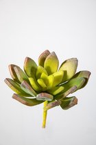 Kunstplant - Succulent - vetplant - topkwaliteit decoratie - 2 stuks - zijden tak- Groen - 5 cm hoog