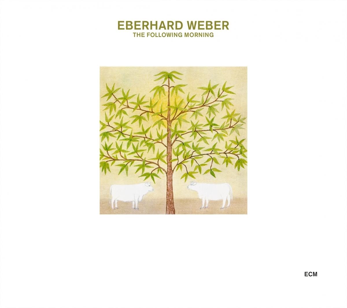 Eberhard Weber - The Following Morning (CD)