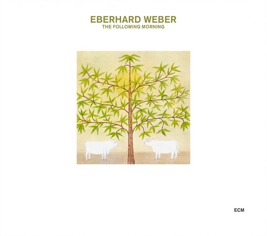 Eberhard Weber - The Following Morning (CD)