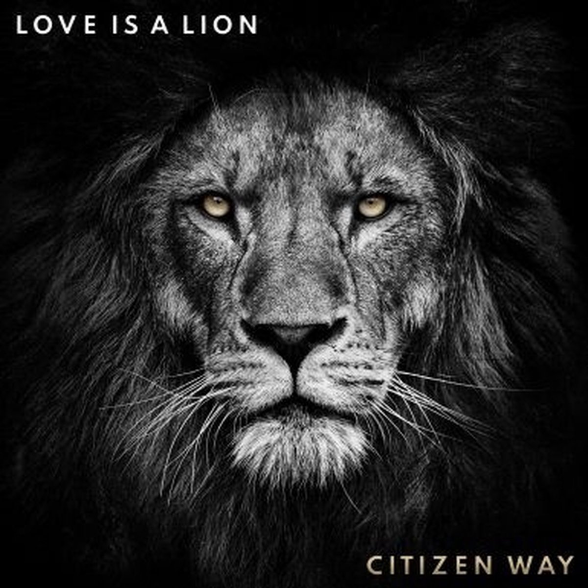 Citizen Way - Love Is A Lion (CD)