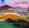 Czech National Symphony Orchestra, Marek Štilec - Fibich: Orchestral Works . 4: A Night At Karlstejn Castle (CD)