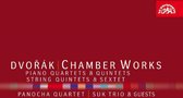 Suk Trio & Panocha Quartet - Dvorák: Chamber Works (4 CD)