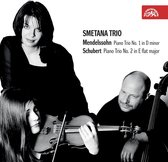 Smetana Trio - Piano Trio No.1 Op. 49-Piano Trio N (CD)