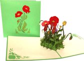 pop-up klaproos kaart -wenskaart -poppy