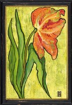 Lijstje hout zwart Oranje papegaai tulp, 34x23,5cm