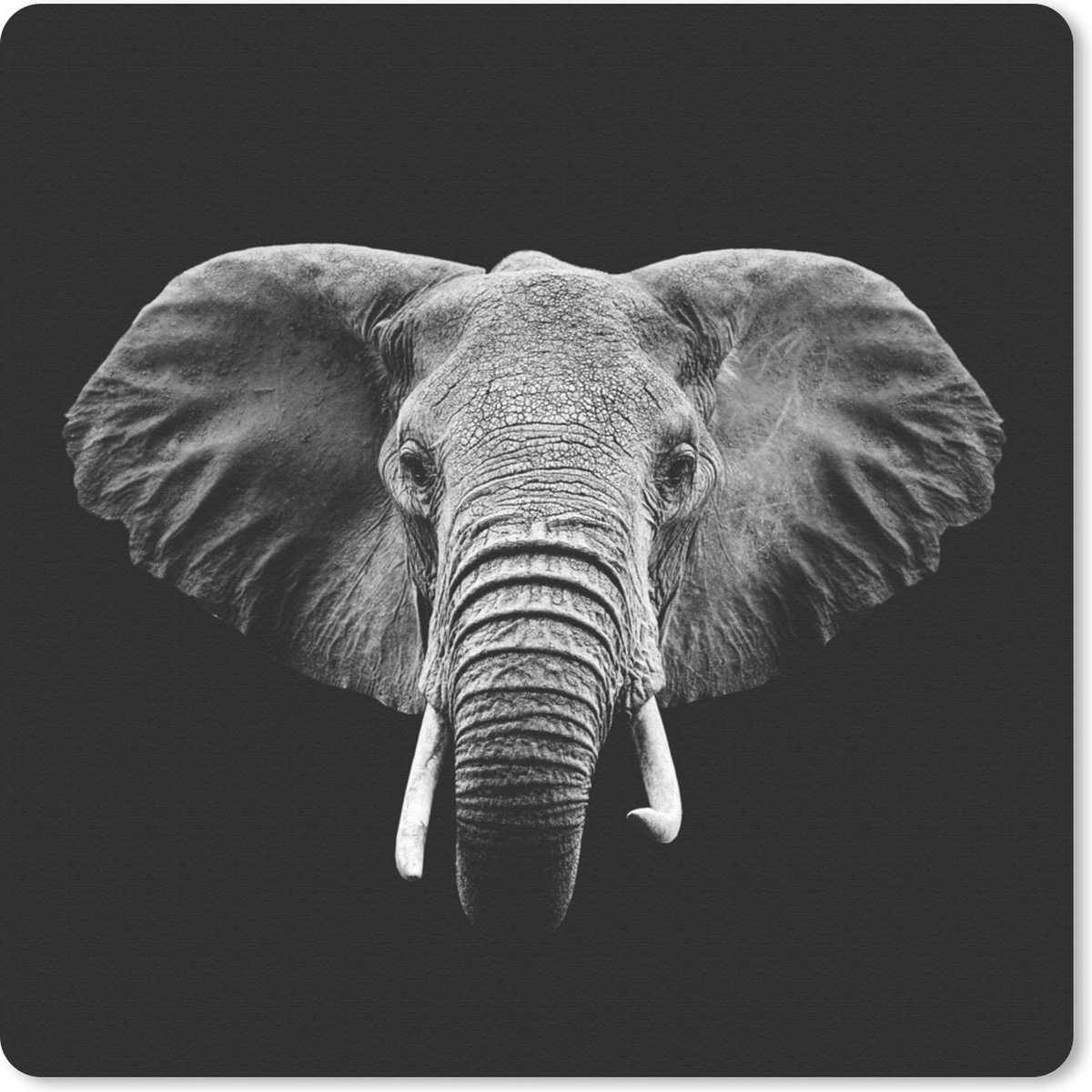Muismat 30x30 cm - Mousepad Olifant - Dieren - Zwart - Wit - Muismatten