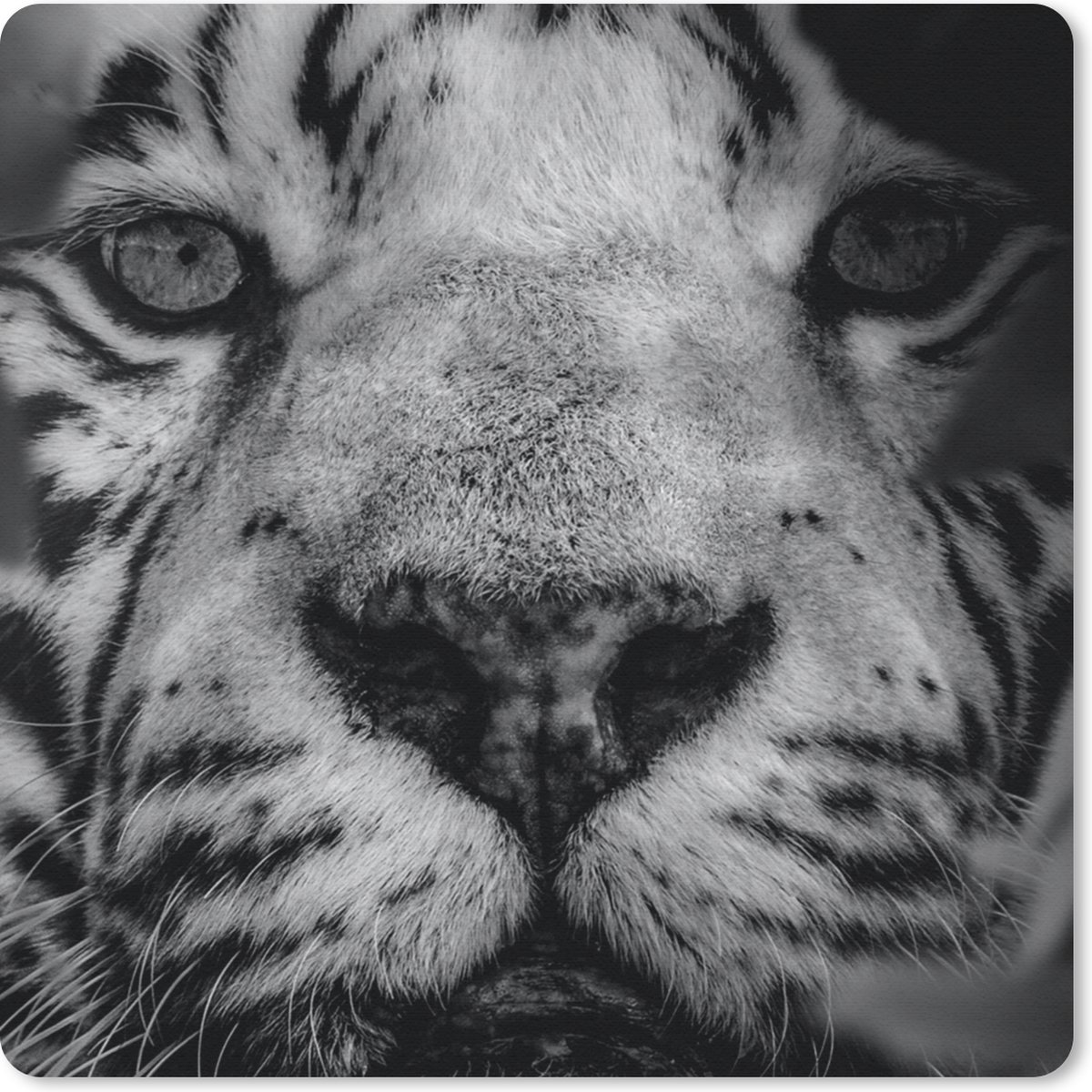 Muismat 30x30 cm - Mousepad Jungle - Tijger - Zwart - Wit - Muismatten