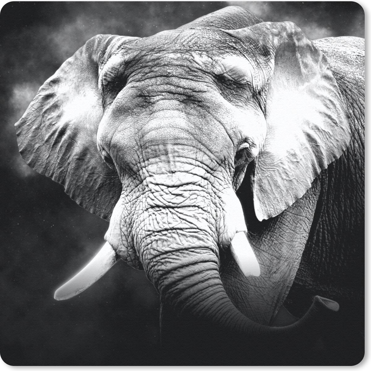 Muismat 30x30 cm - Mousepad Olifant - Rook - Tanden - Zwart - Wit - Muismatten