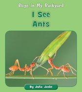 Bugs in My Backyard - I See Ants