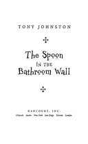 The Spoon in the Bathroom Wall