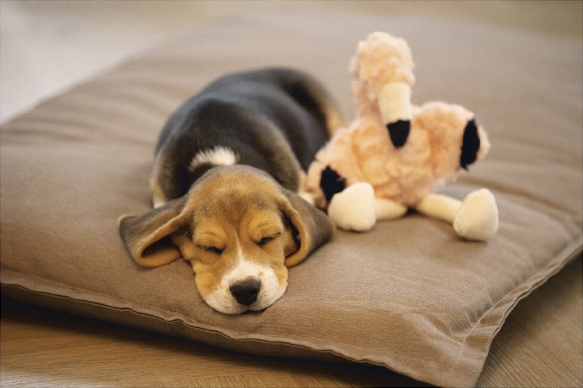 Beeztees Puppy Flamingo Mick - Puppy Speelgoed - Puppyknuffel - Hondenspeelgoed - Roze - 27x10x18 cm thumbnail 4
