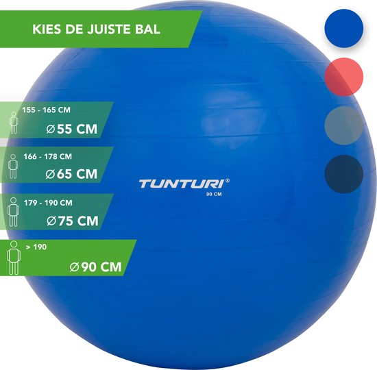 - Gymball - Swiss - 90 cm - Incl. - Blauw | bol.com