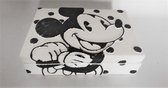 Porseleinen doos - Mickey mouse
