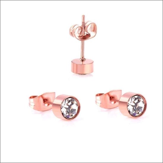 Aramat jewels ® - Oorbellen 5mm rosékleurig zweerknopjes rond chirurgisch staal transparant