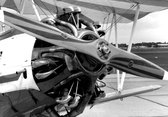 Dibond - Vliegtuig - Airplane in wit / zwart - 100 x 150 cm