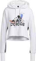 adidas Nini Gfx Hoody