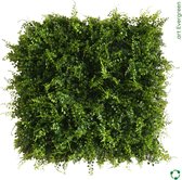 .art Evergreen - Small (50cm x 50cm) - kunstplanten groene muur conifeer buxus UV