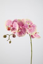 Kunstbloem - set van 2  - Butterfly orchidee - decoratieve tak -  79 cm - paars