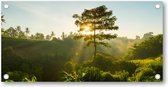 Bali Jungle - Tuinposter 200x100 - Wanddecoratie - Minimalist - Landschap