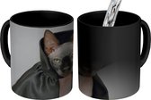 Magische Mok - Foto op Warmte Mok - Kat - Cape - Zwart - 350 ML
