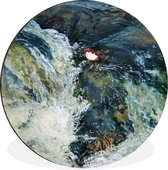 WallCircle - Wandcirkel - Muurcirkel - Olieverfschilderij de Vogel en de Waterval - Aluminium - Dibond - ⌀ 90 cm - Binnen en Buiten