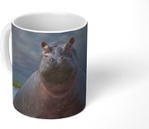Mok - Nijlpaard - Water - Wolken - 350 ML - Beker