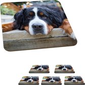 Onderzetters voor glazen - Schaduwrijke Bernese Sennenhond - 10x10 cm - Glasonderzetters - 6 stuks