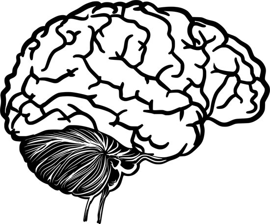 Décoration murale cerveau humain mdf noir 582x500mm