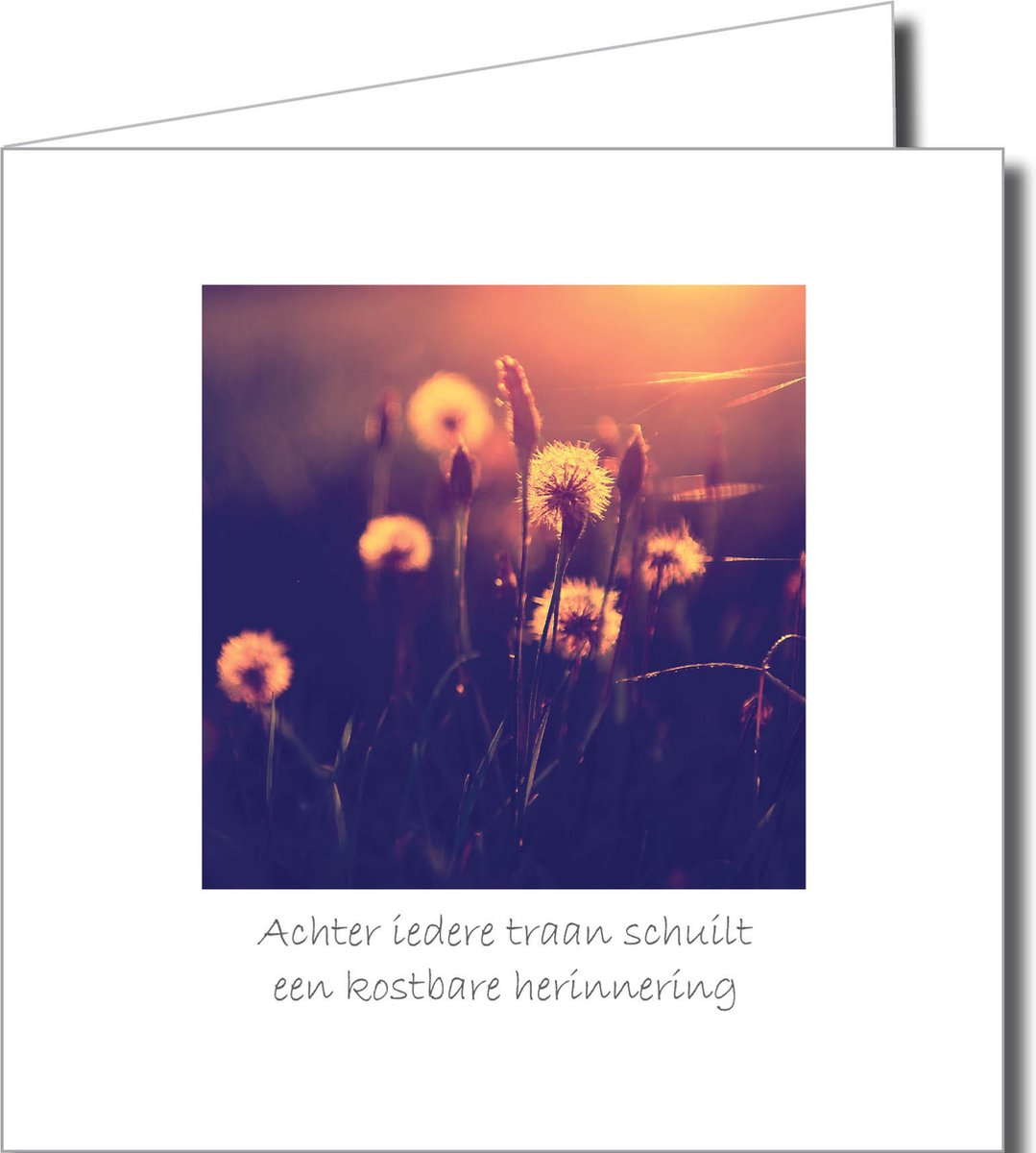 Condoleance Wenskaarten Pakket – 12 Stuks met Fotografische Afbeeldingen van Natuur en Rust (14,5 x 14,5 cm)