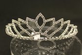 Mooie tiara, kroon, bruid, prinses, haaraccessoire, luxe diadeem, Haarpin, bloemen, haarpin, strass, koningin, maangodin, godin