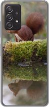 Geschikt voor Samsung Galaxy A53 5G hoesje - Bosdieren - Water - Mos - Siliconen Telefoonhoesje