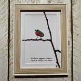 Schilderijtje 3D: Roodborstje: Robins appear when... 16 x 21 cm