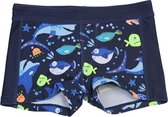 Lentiggini Zwemshort Fish Navy