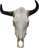 Western decoratie runder skull stierenschedel Mexico