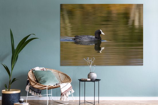 Tableau sur toile Foulque dans l'eau - 160x120 cm - Décoration murale XXL