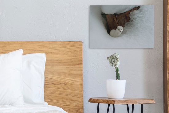 Tableau sur toile Belette Witte dans la neige - 30x20 cm - Décoration murale