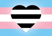 Sticker - Vlagsticker - Trans & Hetero - LGBT+ - Regenboog - Pride