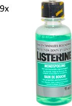 Bol.com Listerine - Tand & Tandvleesbescherming 9 x 95ml - Voordeelpakket aanbieding