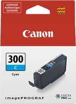 Originele inkt cartridge Canon 300