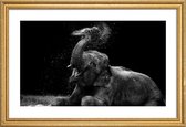 JUNIQE - Poster met houten lijst Frolicking Elephant -30x45 /Zwart