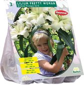 Baltus Lilium Pretty Woman Lelie bloembollen per 3 stuks