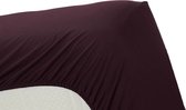 Ambiante Cotton Uni Hoeslaken - Lits-jumeaux - 160x210/220 cm - Dark Red